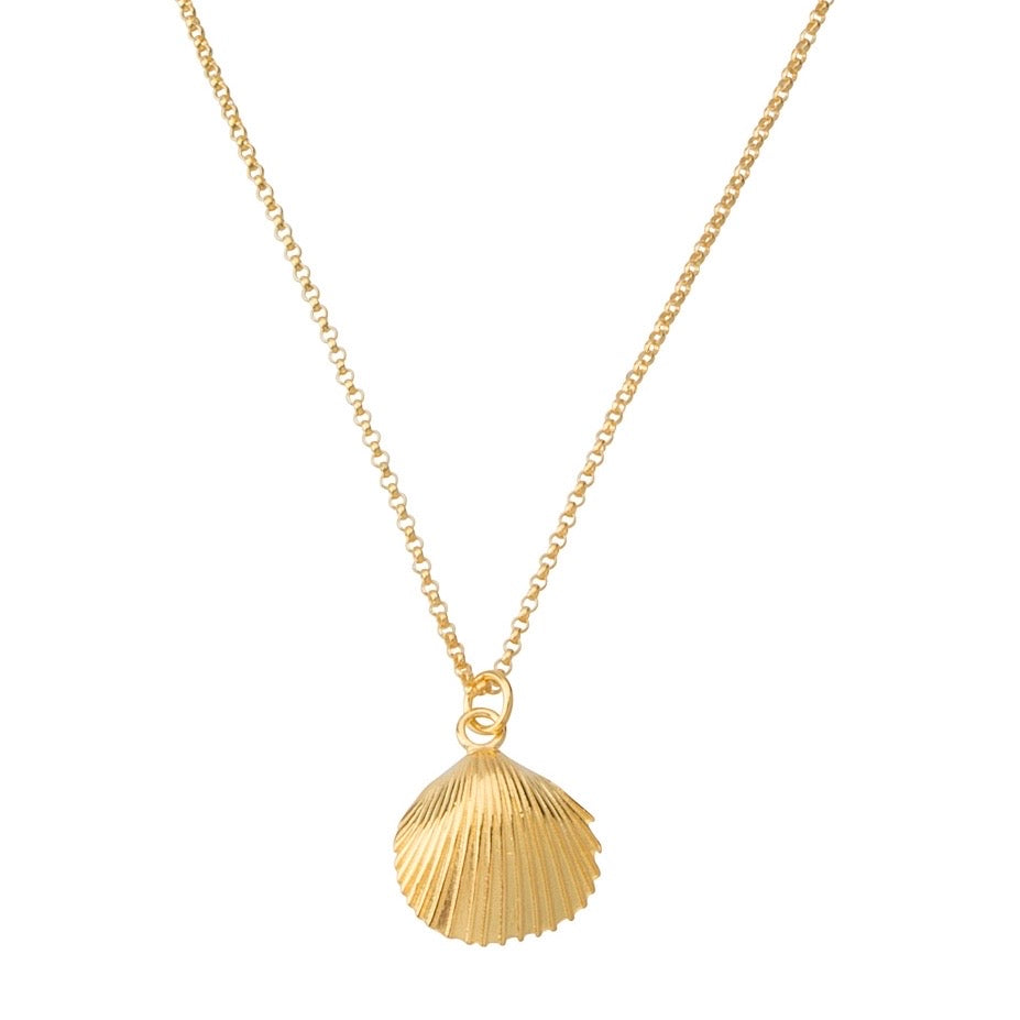 Salty Shell Necklace
