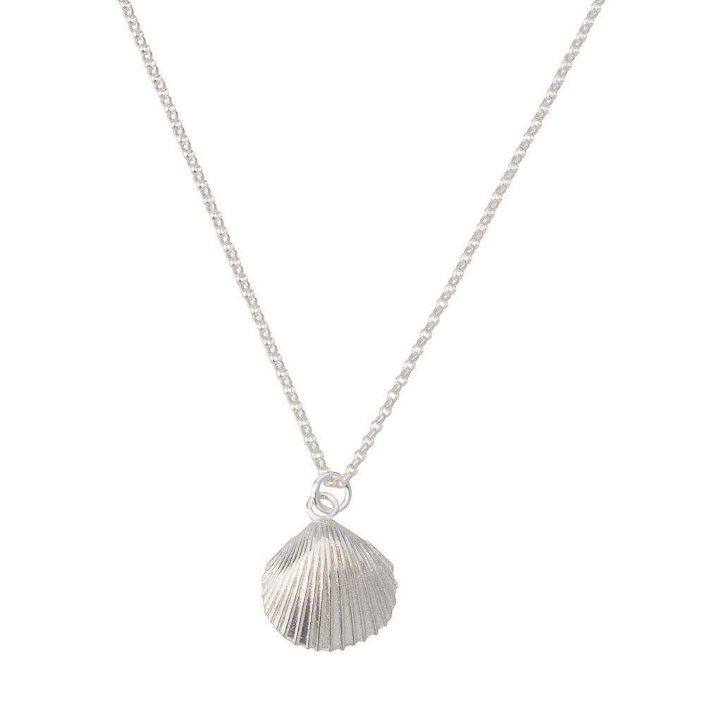 Salty Shell Necklace